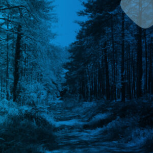 GARBINGURUNEXT GARBINGURUNEXT