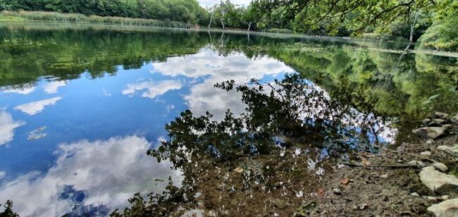 Las Huellas de la Covid-19