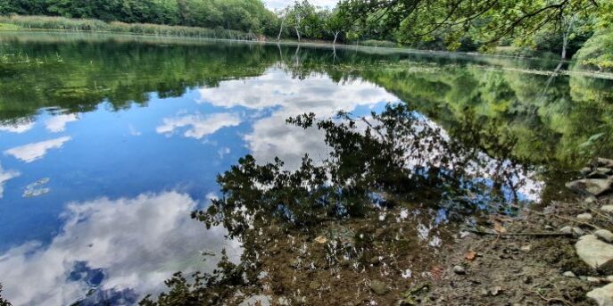 Las Huellas de la Covid-19 Las Huellas de la Covid-19