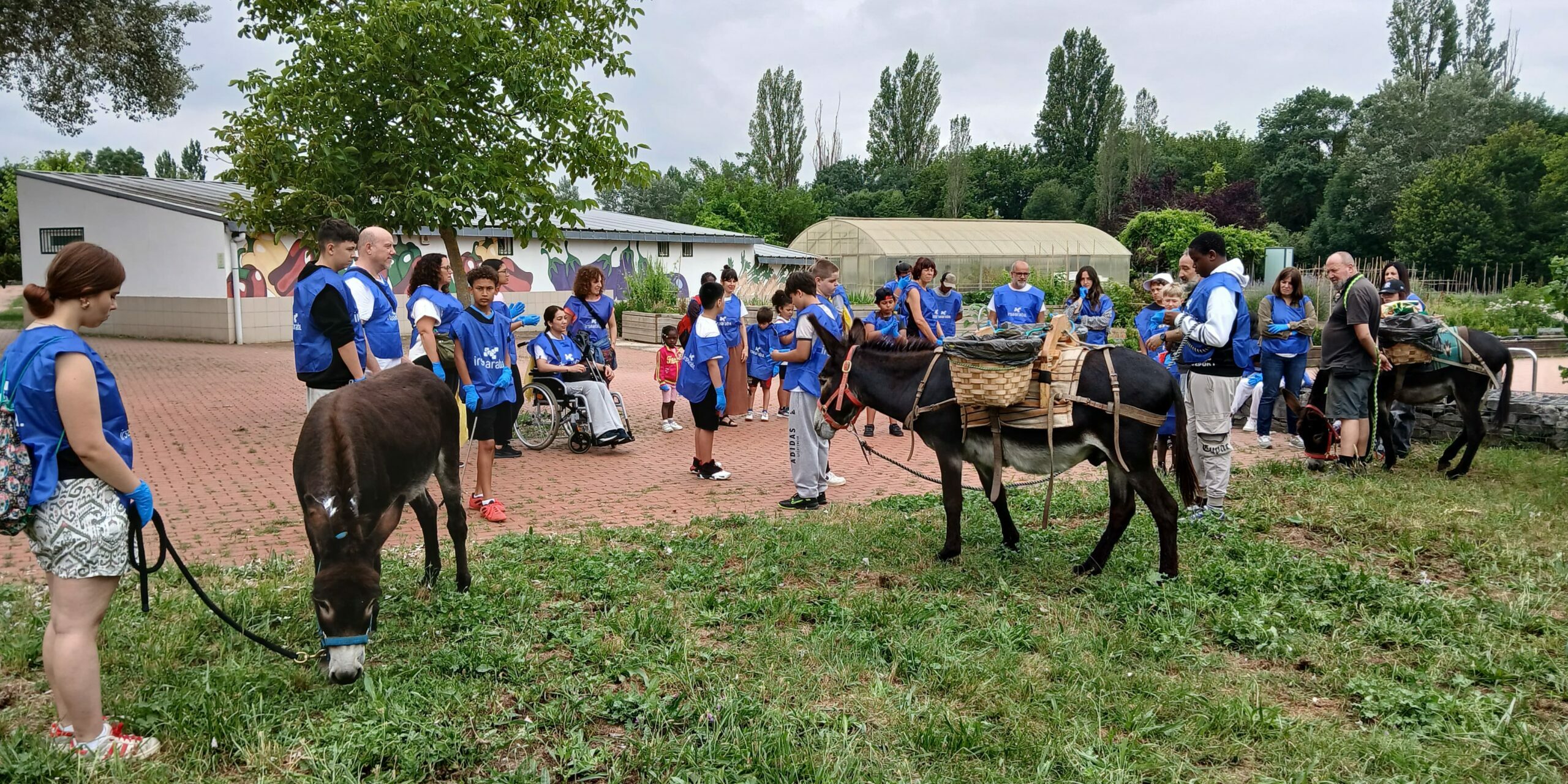 Copia de 20250626_111015