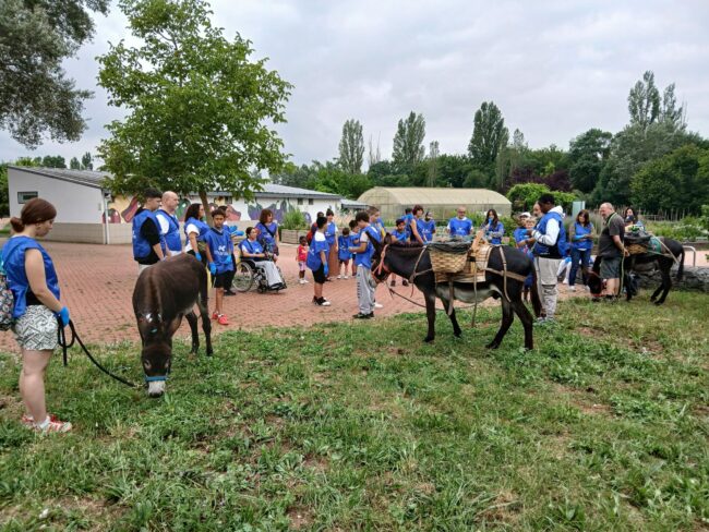 Copia de 20250626_111015