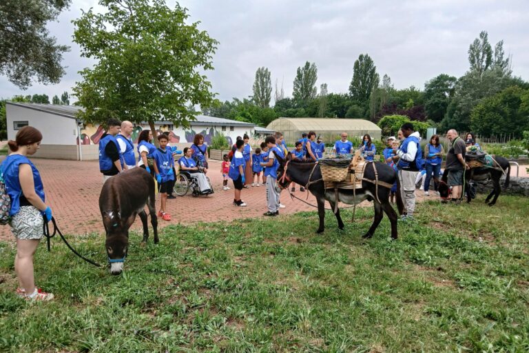 Copia de 20250626_111015